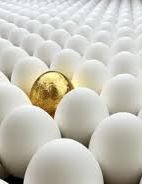 What Goes into Creating Extraordinary Customer Experiences