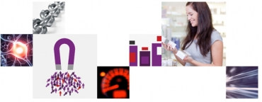 Revealed: what it takes to be an irresistible brand