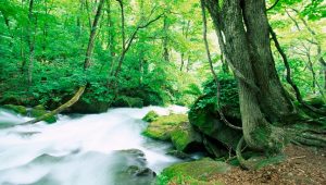 Meaningful innovation makes the difference