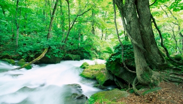 Meaningful innovation makes the difference