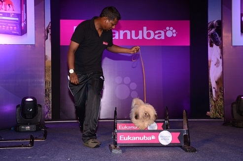Mars launches the international pet food brand ‘Eukanuba’ in India
