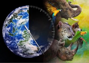 Discovery Channel to premiere Racing Extinction