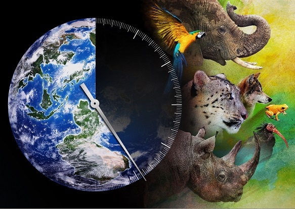 Discovery Channel to premiere Racing Extinction