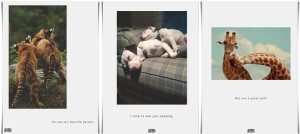 Animal Planet melted its Fans’ Hearts with Valentine’s Day Cards