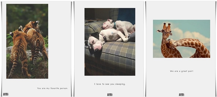 Animal Planet melted its Fans’ Hearts with Valentine’s Day Cards