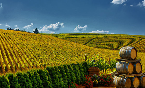 The Importance of Brand Origin in Purchase Decisions