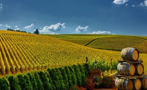 The Importance of Brand Origin in Purchase Decisions