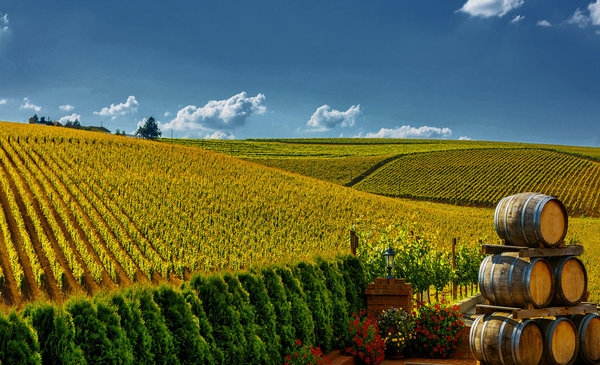 The Importance of Brand Origin in Purchase Decisions