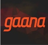 Times Internet owned Gaana announces Prashan Agarwal as its COO