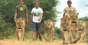 Animal Planet to air Harnas Wildlife Rescue Camp