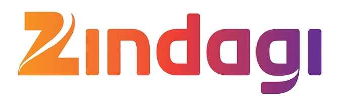 Zindagi wins Big at the PromaxBDA Awards 2 Zindagi wins Big at the PromaxBDA Awards