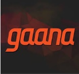 Times Internet owned Gaana announces Prashan Agarwal as its COO