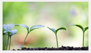 BrandZ confirms attitudes do anticipate brand growth 2 BrandZ confirms attitudes do anticipate brand growth