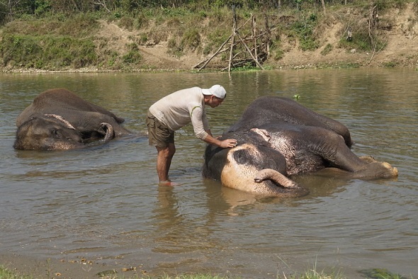 Discovery Channel to air Wild Frank - Adventure in India