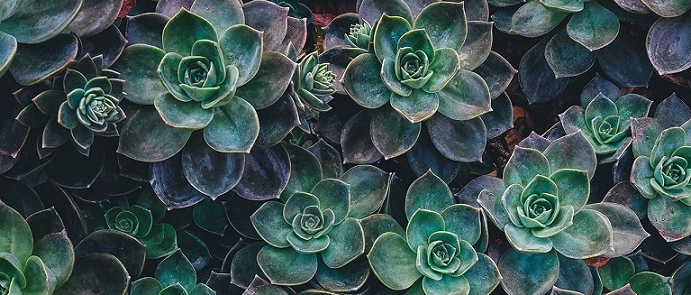 Want to grow? Do less. Do it bigger. 2 Want to grow? Do less. Do it bigger.