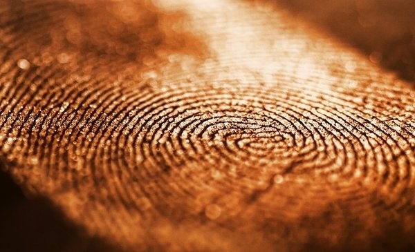 Brand Different Versus Brand Difference 2 Brand Different Versus Brand Difference