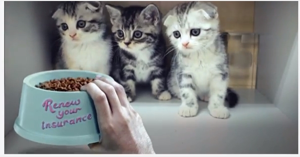 Beware! This New Hacker Could Be Trolling You 2 Beware! This New Hacker Could Be Trolling You