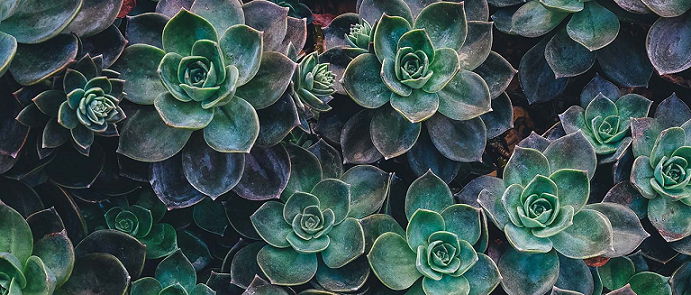 Want to grow? Do less. Do it bigger.