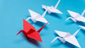 What to do when your brand is already a leader