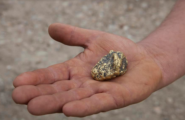 Discovery presents Gold Rush