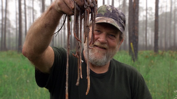 Experience the World like Never Before this April only with Sony BBC Earth