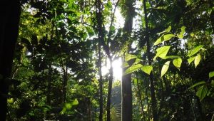 Branding the Bezos way