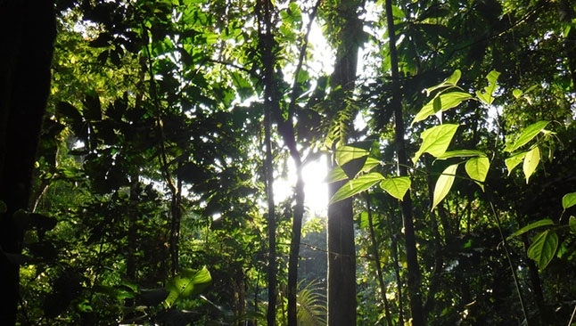 Branding the Bezos way