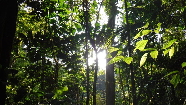 Branding the Bezos way