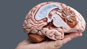 Advertising scripts that sell to the lazy brain