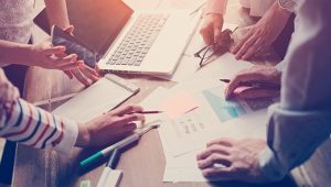 Trust in data varies across marketing disciplines