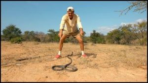 Discovery Channel to premiere Wild Frank-Black Mamba