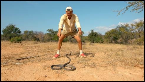 Discovery Channel to premiere Wild Frank-Black Mamba