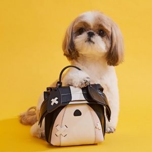 The social commerce shift