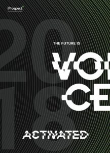 The Future is Voice Activated