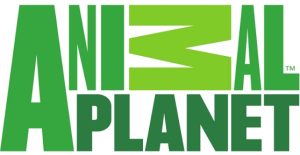 Animal Planet sharpens focus on conservation with a brand-new philosophy ‘Humans Like Us’