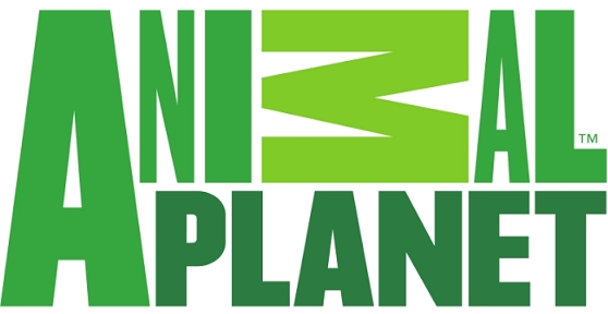 Animal Planet sharpens focus on conservation with a brand-new philosophy ‘Humans Like Us’ 2 Animal Planet sharpens focus on conservation with a brand-new philosophy ‘Humans Like Us’