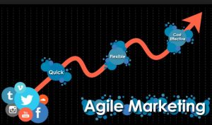 Seven Steps for Successfully Leading an Agile Marketing Organization
