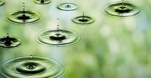 Disruption requires vision and consumer insight