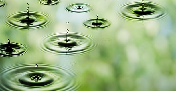 Disruption requires vision and consumer insight 2 Disruption requires vision and consumer insight