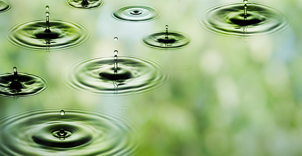 Disruption requires vision and consumer insight