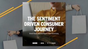 The Sentiment Driven Consumer Journey