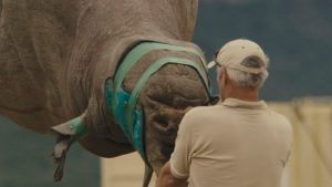 Discovery channel and Animal Planet to showcase an international award-winning documentary ‘Terra’