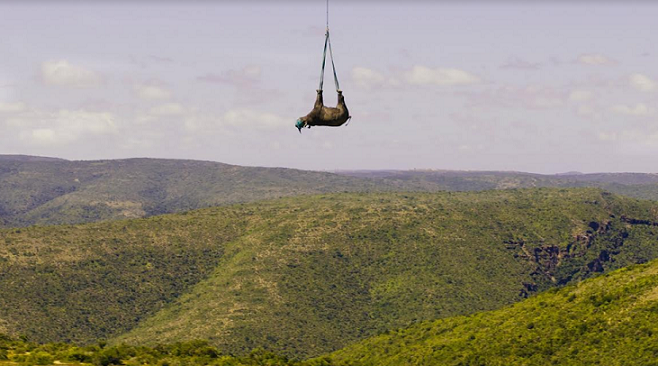 Discovery channel and Animal Planet to showcase an international award-winning documentary ‘Terra’