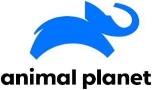 Animal Planet launches new brand identity to bring people up close to animals