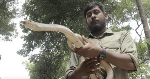 Animal Planet shines light on Snake Squad
