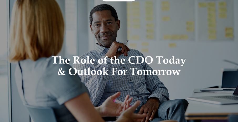 Chief Diversity Officers Today: Paving the Way for Diversity & Inclusion Success