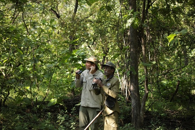 Animal Planet’s ‘The Lion Kingdom’ showcases India’s incredible fight to save the Asiatic Lions of Gir National Park