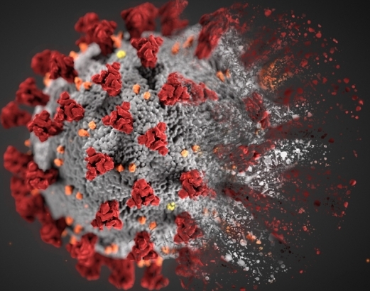 MIT-affiliated companies take on Covid-19