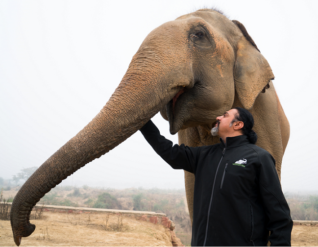 On 50th Earth Day, National Geographic to premiere ‘shot at home’ documentary to highlight human-nature relationships