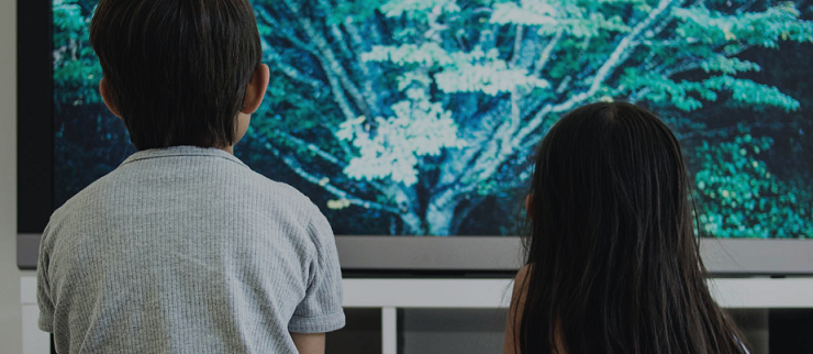 Leading the way: Media and entertainment